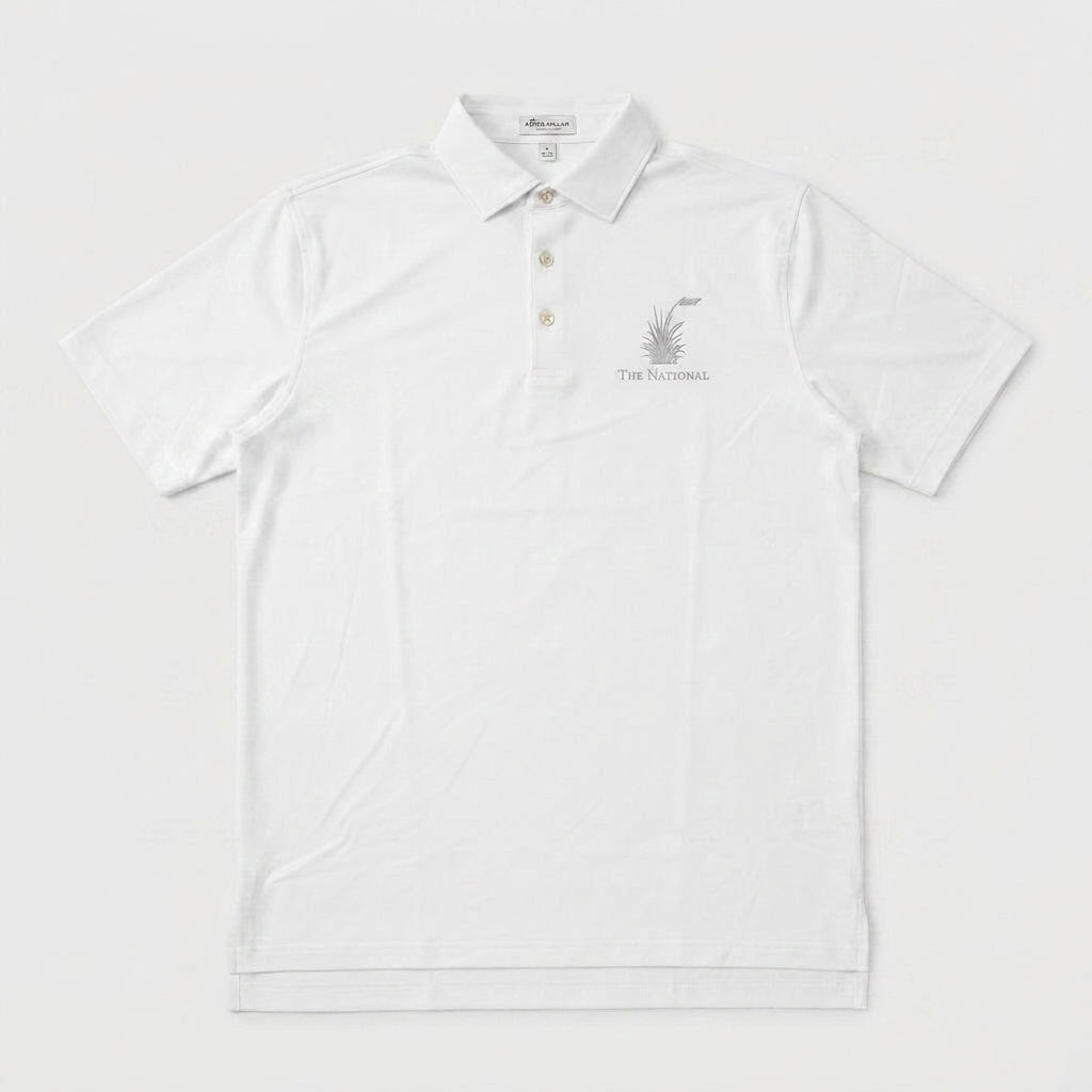 Men's Peter Millar Solid Performance Jersey Polo - White