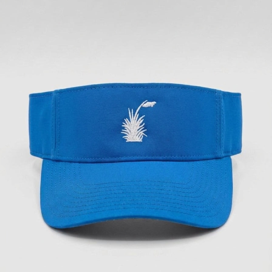 Performance Visor - Blue